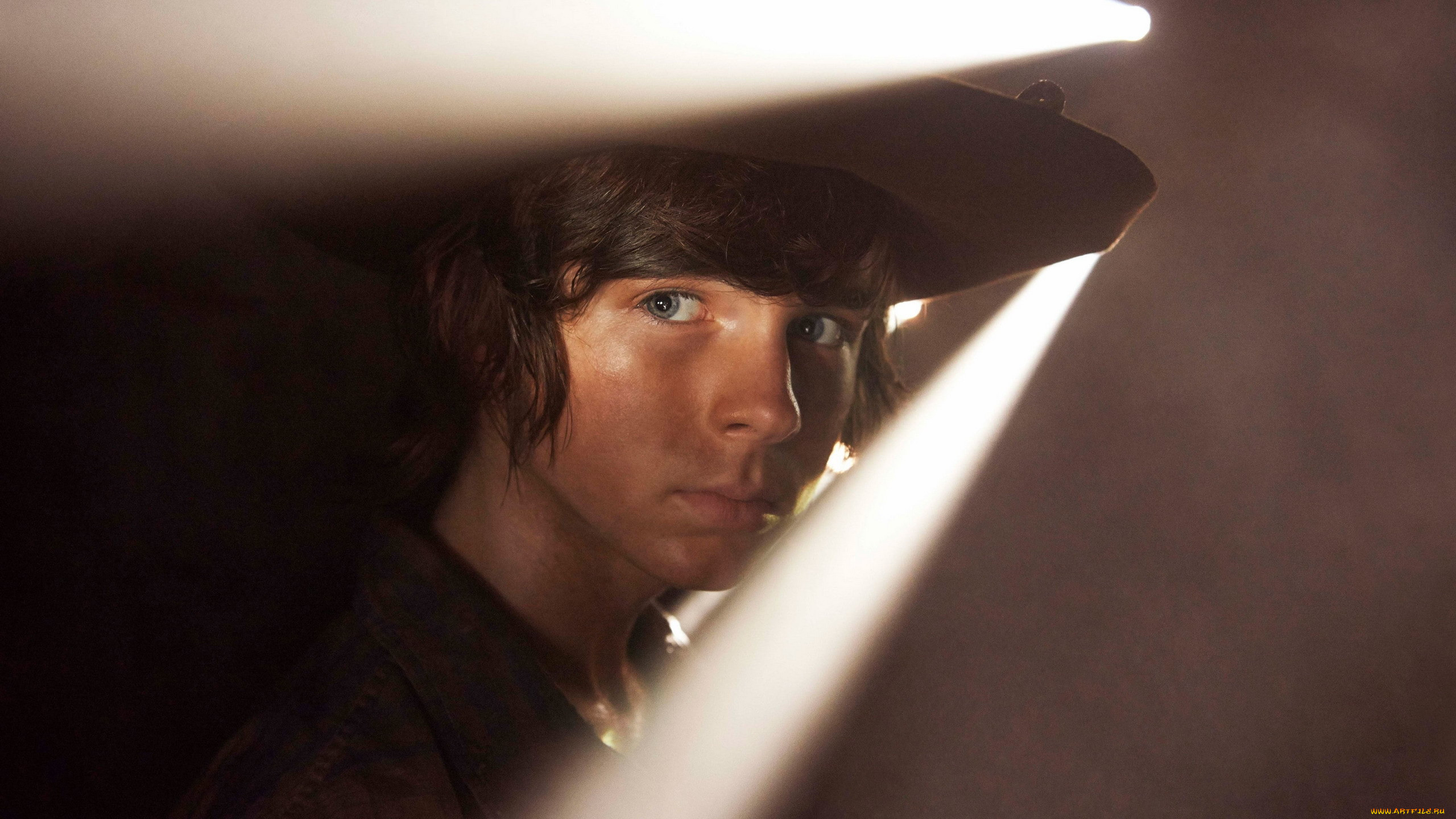  , the walking dead, chandler, riggs, carl